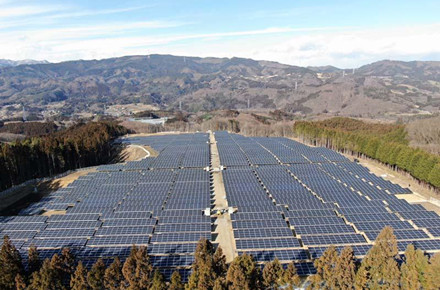 En réponse aux pénuries d'énergie, le solaire allemand lancera un "appel d'offres de crise" de 1,5 GW
